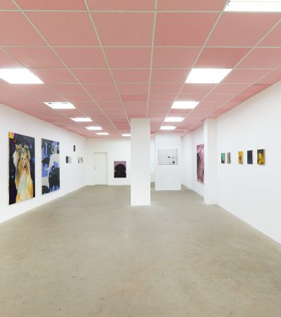 Animalia, exhibition view, @Galerie Stephany Kelly (Photo credit Ludwig Kupfer)