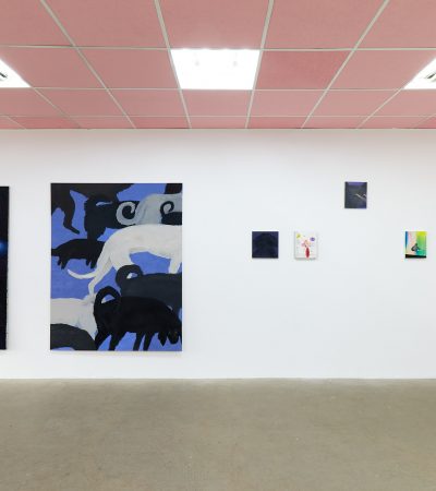 Animalia, exhibition view, @Galerie Stephany Kelly (Photo credit Ludwig Kupfer)