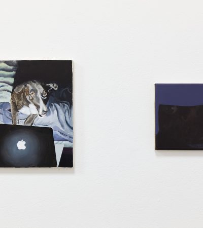 Animalia, exhibition view, @Galerie Stephany Kelly (Photo credit Ludwig Kupfer)